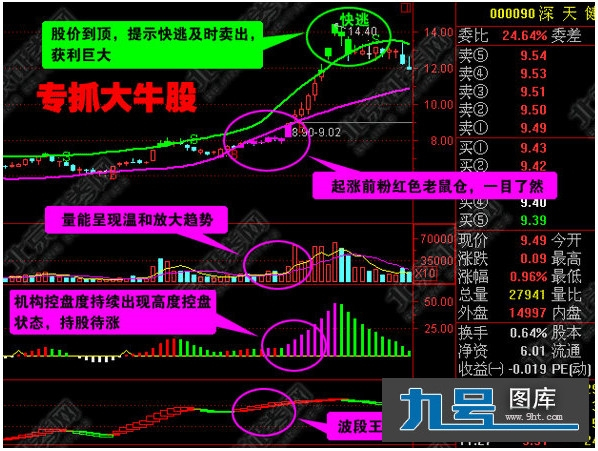 炒股网站视频软件下载指南
