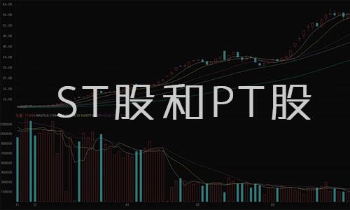 解析股市术语，股票T+1的含义