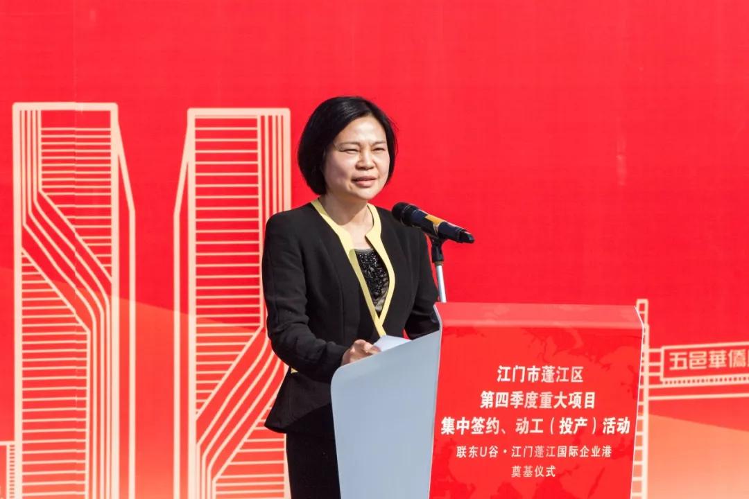 合肥三洋股票，投资潜力与市场前景分析