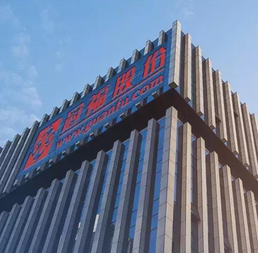 买股票中的股东限制，解析其含义与影响