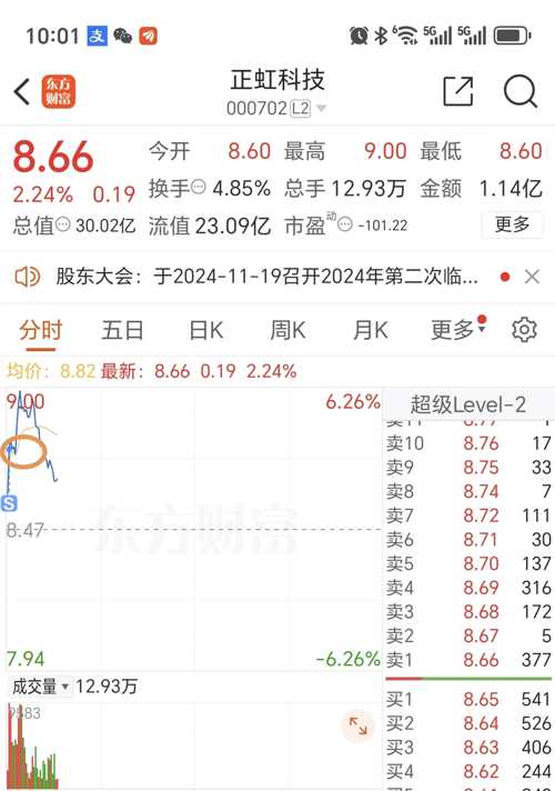 正虹科技股票，探索与前景展望