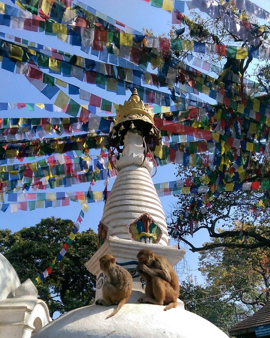 便捷交易，随时随地—探索手机软件炒股的魅力
