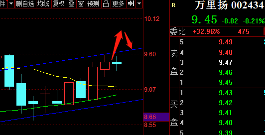 万里扬股票行情深度解析