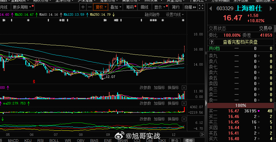 上海雅仕股票，投资新焦点