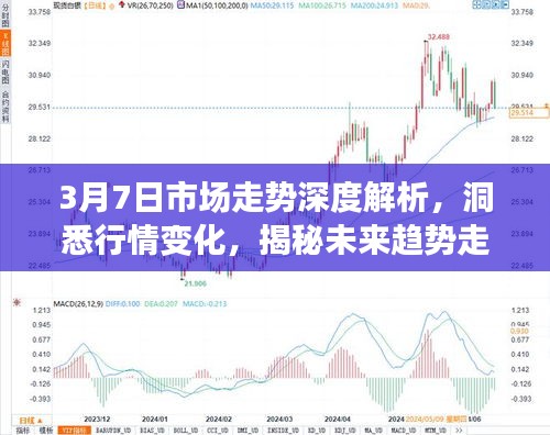 股票生命线解读，如何洞悉市场走势的关键线索