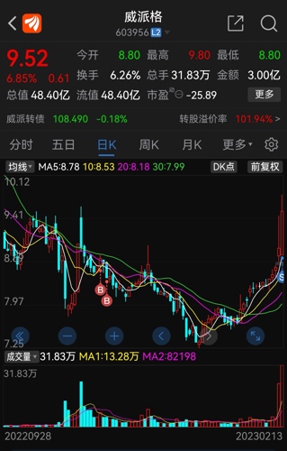 威派格股票的投资价值与前景展望