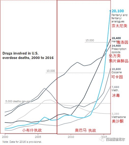 芬太尼股票，投资潜力与市场前景分析
