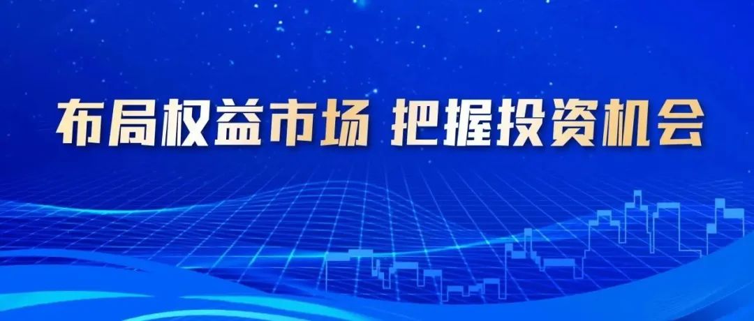 金融学炒股电脑推荐软件，助力投资者把握市场机遇