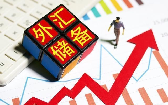 科技股龙头股票，引领股市增长的核心力量