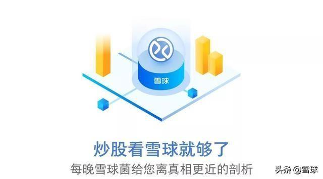雪球炒股软件下载指南