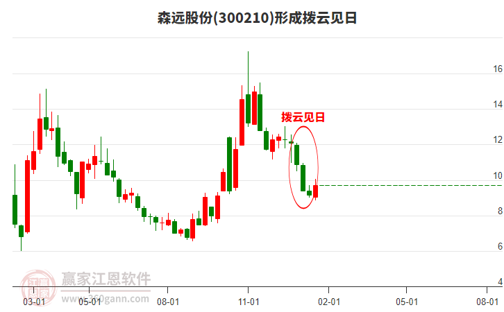 森远股票，投资潜力与市场前景分析