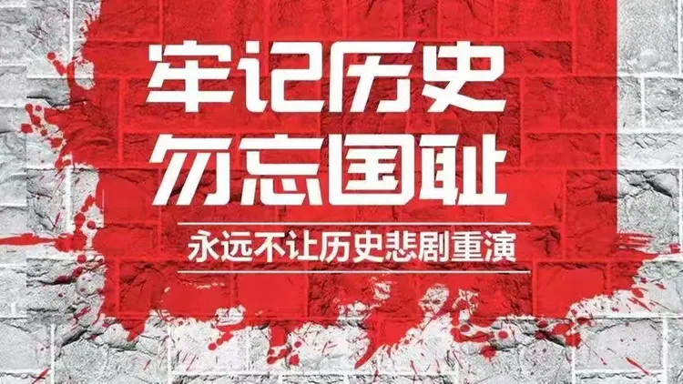 探索上海贝岭股票，历史、现状与未来展望