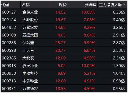 金健米业股票的投资价值解析