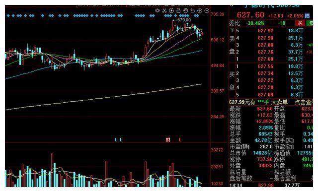 解析股票行情，聚焦600345股票的动态与前景展望