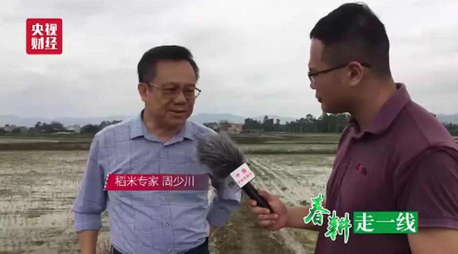 聚龙科技股票行情深度解析