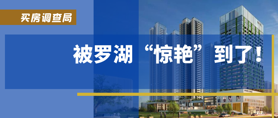 教育类股票概览，探寻投资潜力与价值
