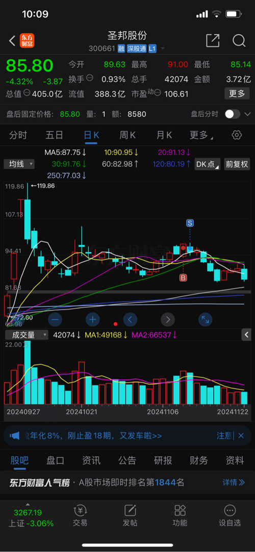 圣邦微电子股票，市场潜力与技术前景的探讨