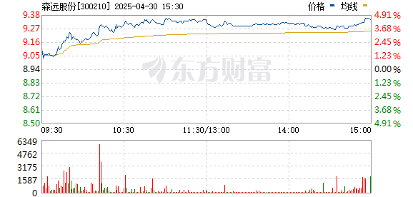 森远股票，投资潜力与市场前景分析