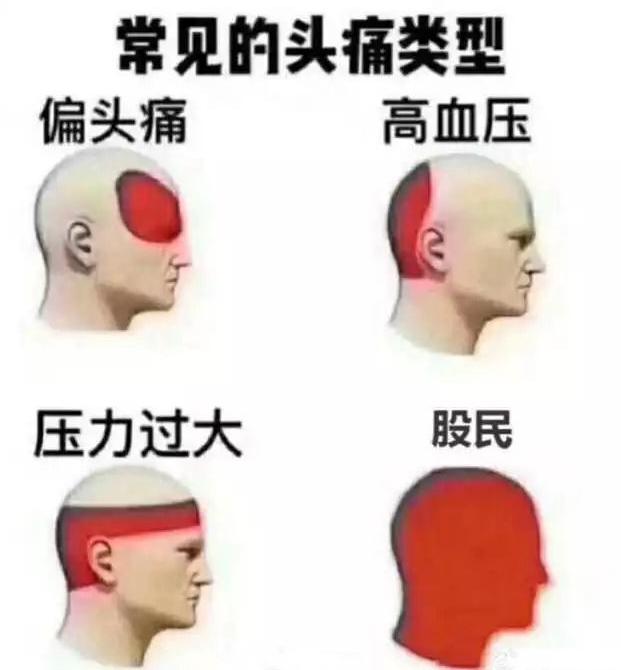 电脑炒股软件的选择与应用，哪种软件更受欢迎？