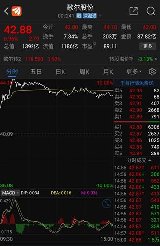 迪马股份股票的投资价值解析