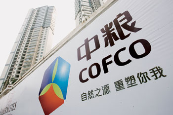 中粮地产股票代码，探索与解析