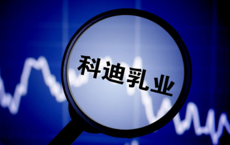 爱科迪股票，投资潜力与市场前景分析