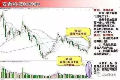 股票起源与发明者之谜，探寻金融历史的神秘面纱
