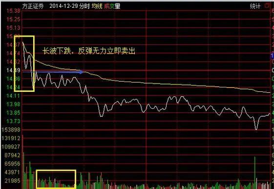 深度解析，603683股票行情及市场走势