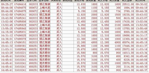 浙江富润股票股吧，探索与洞察
