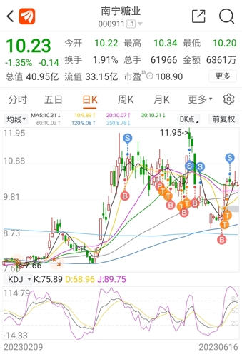 南宁糖业股票股吧，探究与前景展望