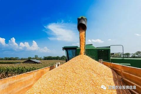 股票配额是什么意思—深度解析股票分配机制中的配额概念