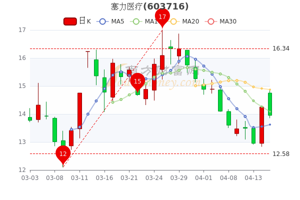 塞力斯股票股吧，探索与洞察