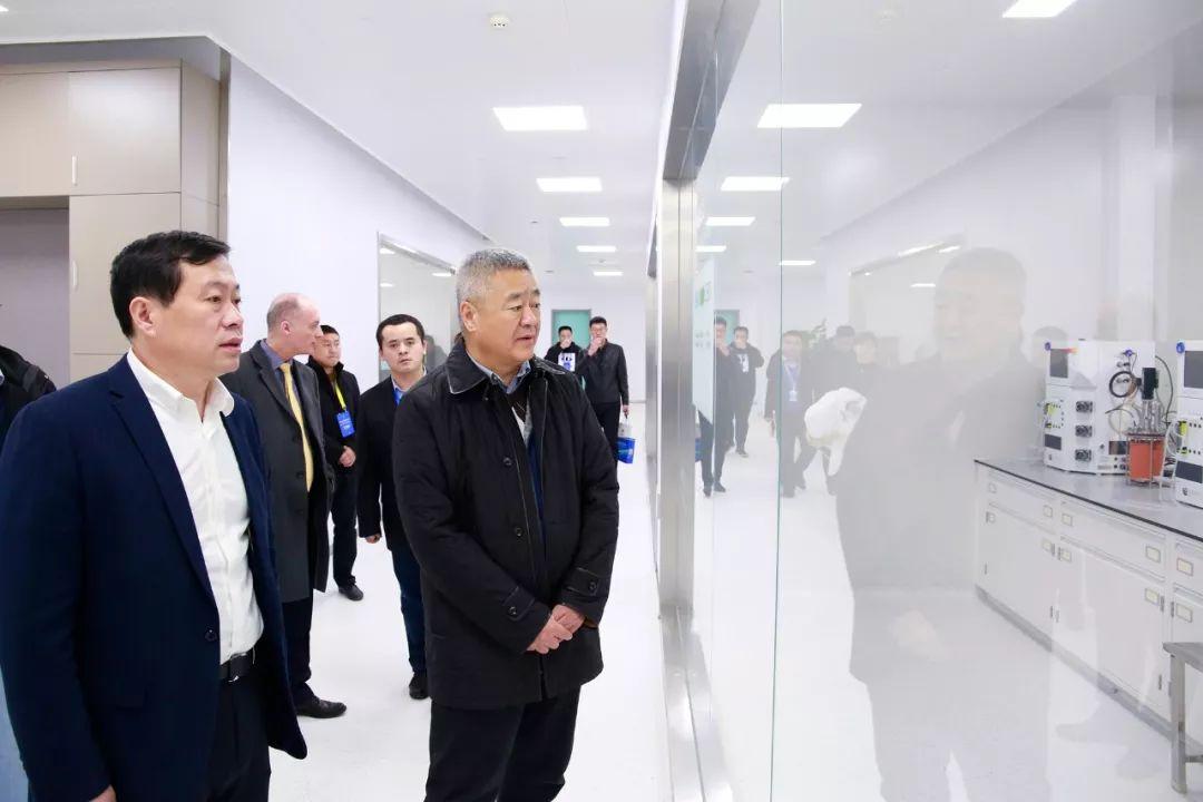 齐鲁制药股票，投资视角的深度解析