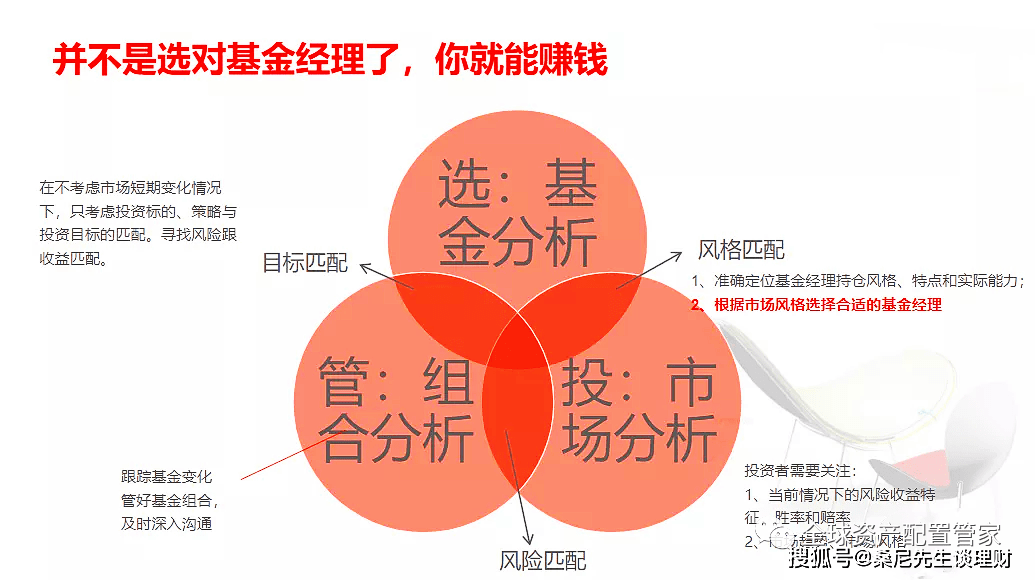 只做一个股票，深度探究与投资策略