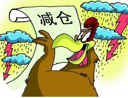 新能源股票走势，探究未来能源产业的投资机遇与挑战