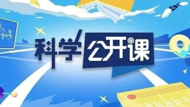 股票触底反弹，探寻市场反转的奥秘