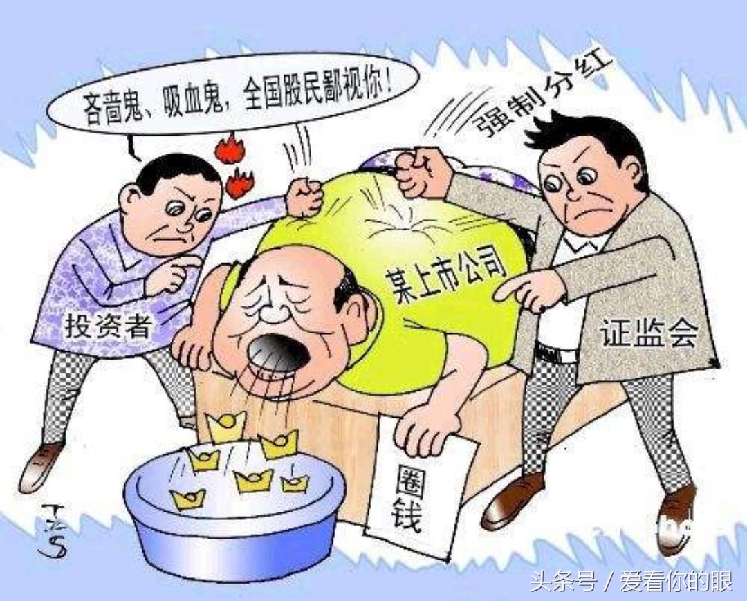 股票分红查询，了解过程与掌握信息的重要性