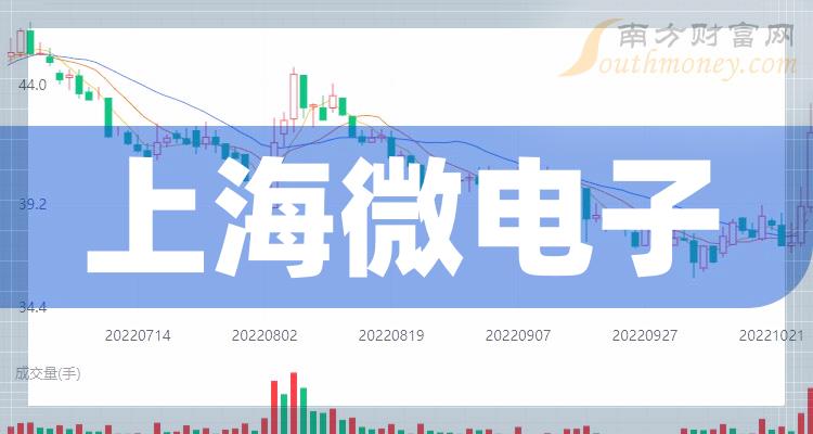上海微电子公司股票，投资前景与市场分析