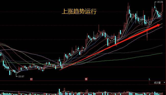 白马蓝筹股概览，聚焦优质股票
