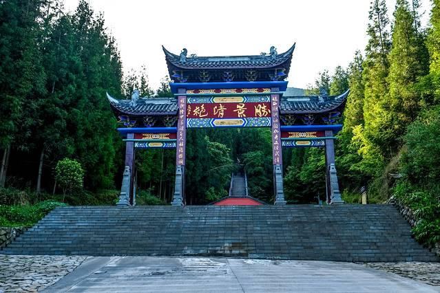 海印股份，股票市场的璀璨明珠