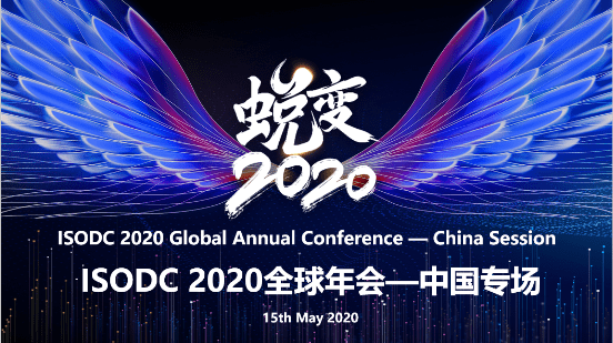 股票300157，探寻其背后的价值与潜力